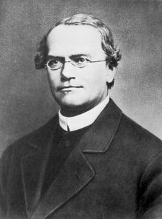 Gregor Mendel