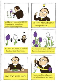 Gregor Mendel