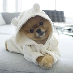 JiffPom