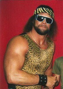 Lanny Poffo