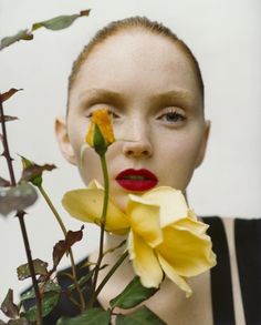 Lily Cole