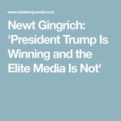 Newt Gingrich