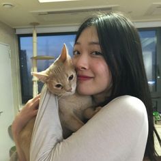 Sulli