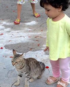 Ziva Dhoni