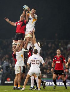 Brad Thorn