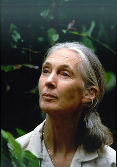 Jane Goodall