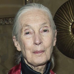 Jane Goodall