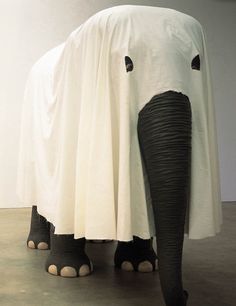 Maurizio Cattelan