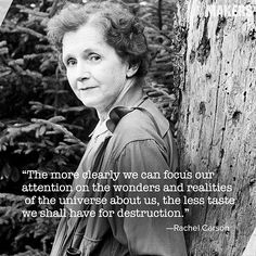 Rachel Carson