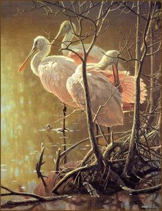 Robert Bateman