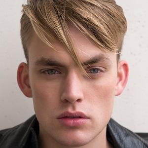 William Jardell