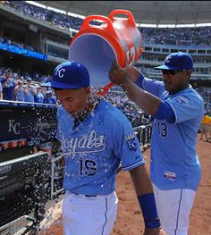 Cheslor Cuthbert