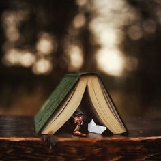 Joel Robison