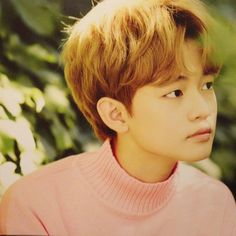 Chenle