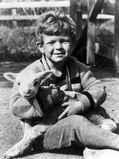 Johnny Whitaker