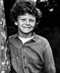 Johnny Whitaker