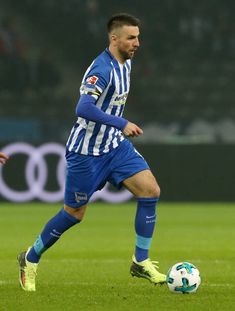 Vedad Ibisevic