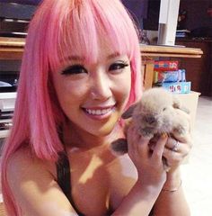 Xiaxue