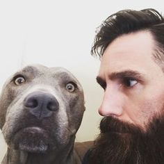 Aaron Kaufman