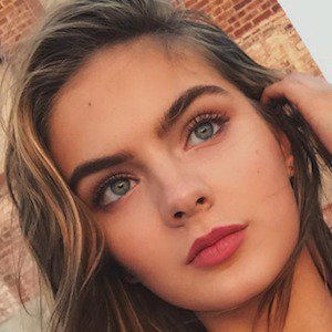 Brighton Sharbino