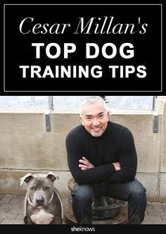 Cesar Millan