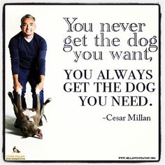 Cesar Millan