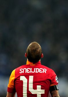 Wesley Sneijder