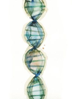 DNA