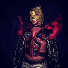 Lince Dorado