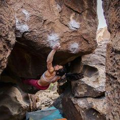 Alex Puccio