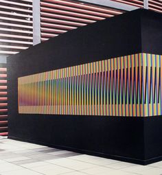 Carlos Cruz-diez