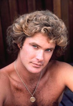 David Hasselhoff