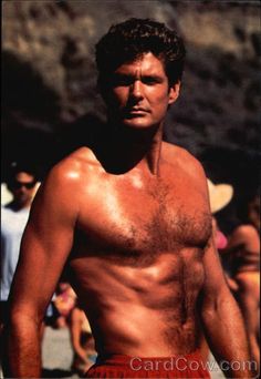 David Hasselhoff