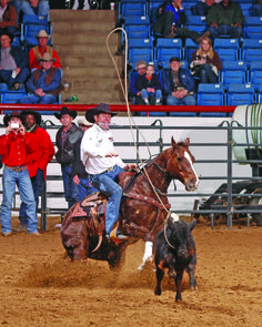 Trevor Brazile