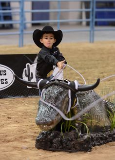 Trevor Brazile