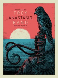 Trey Anastasio