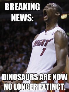 Chris Bosh