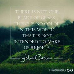 John Calvin