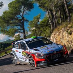 Hayden Paddon