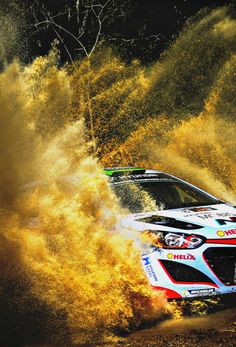 Hayden Paddon