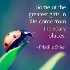 Priscilla C. Shirer