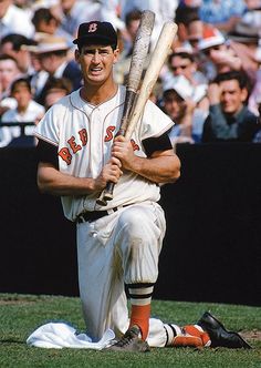 Ted Williams