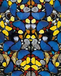 Damien Hirst