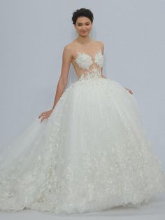 Randy Fenoli