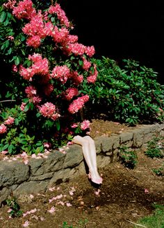 Jimmy Marble