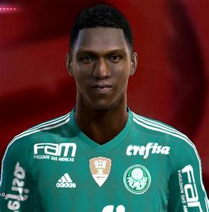 Yerry Mina