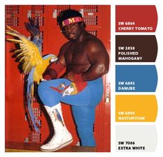 Koko B. Ware