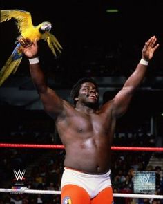 Koko B. Ware