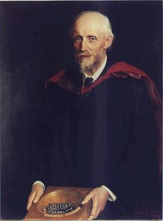 Sir George Stokes, 1st Baronet