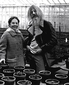 Hal Ashby